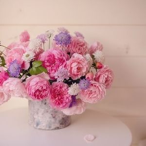 Meet your Posher, Kathleen